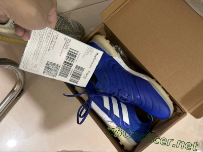 Shipped Order
