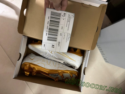 Shipped Order