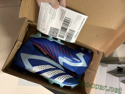 Shipped Order