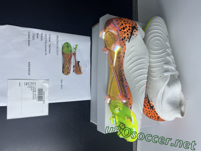 Shipped Order