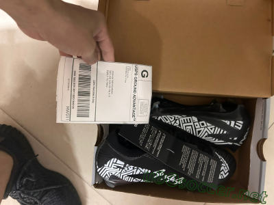 Shipped Order