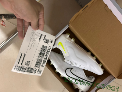 Shipped Order