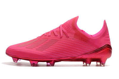 Unisex Adidas X 19.1 FG Football Boots - Pink/Red/Gold