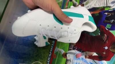 Men's Nike The Premier 3 FG Football Boots - White/Blue